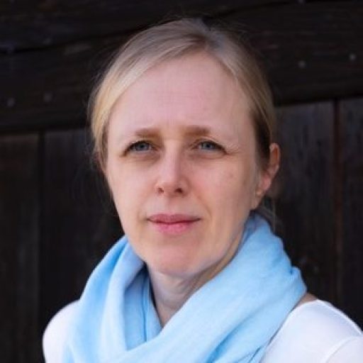 Les carnets d'Anna Colin Lebedev